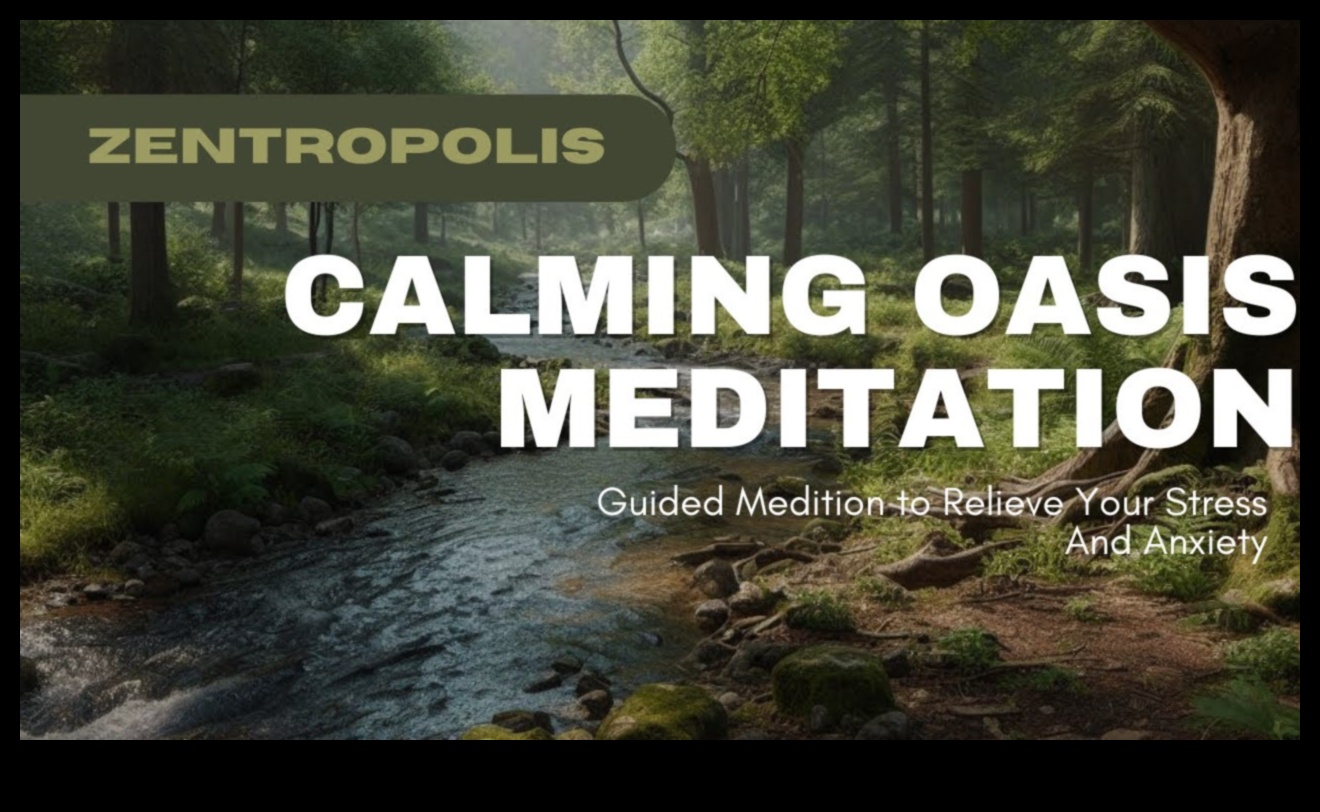 Calm Oasis: Günlük Meditasyonla Stres Azaltma Kilidini Açma