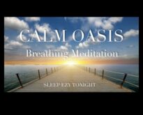 Calm Oasis Stresi Azaltmak İçin Günlük Meditasyon Rehberi